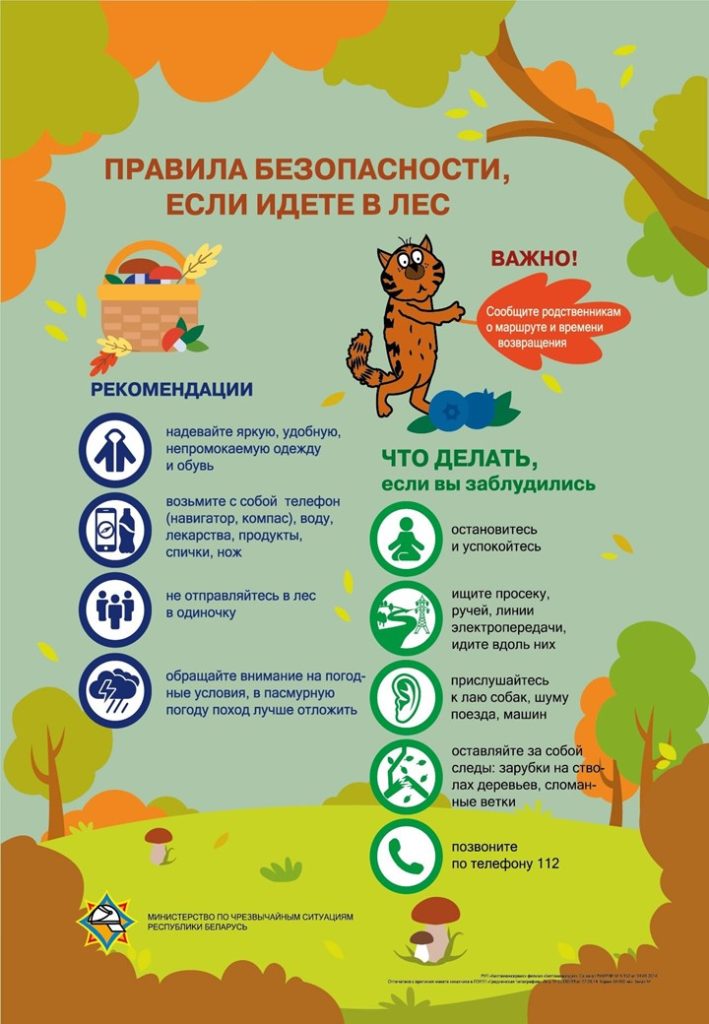 Слайд8